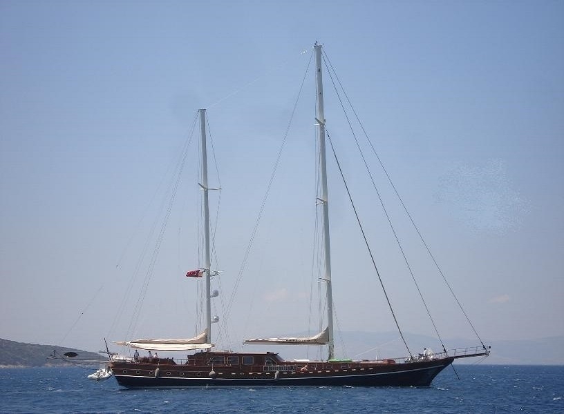 OCN365898