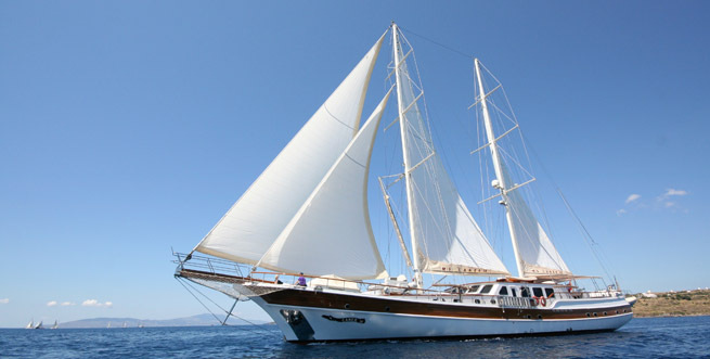 CANER IV