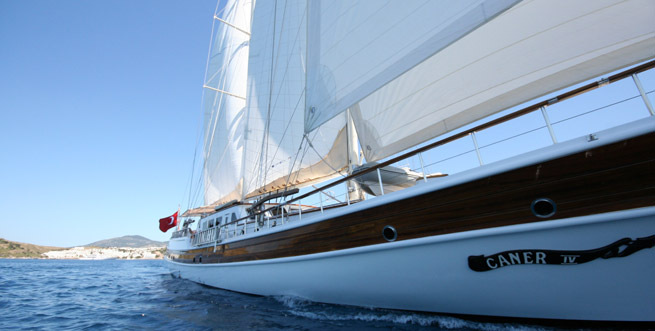 CANER IV