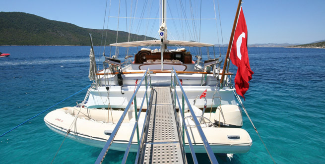 CANER IV