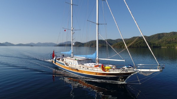 OCN588575