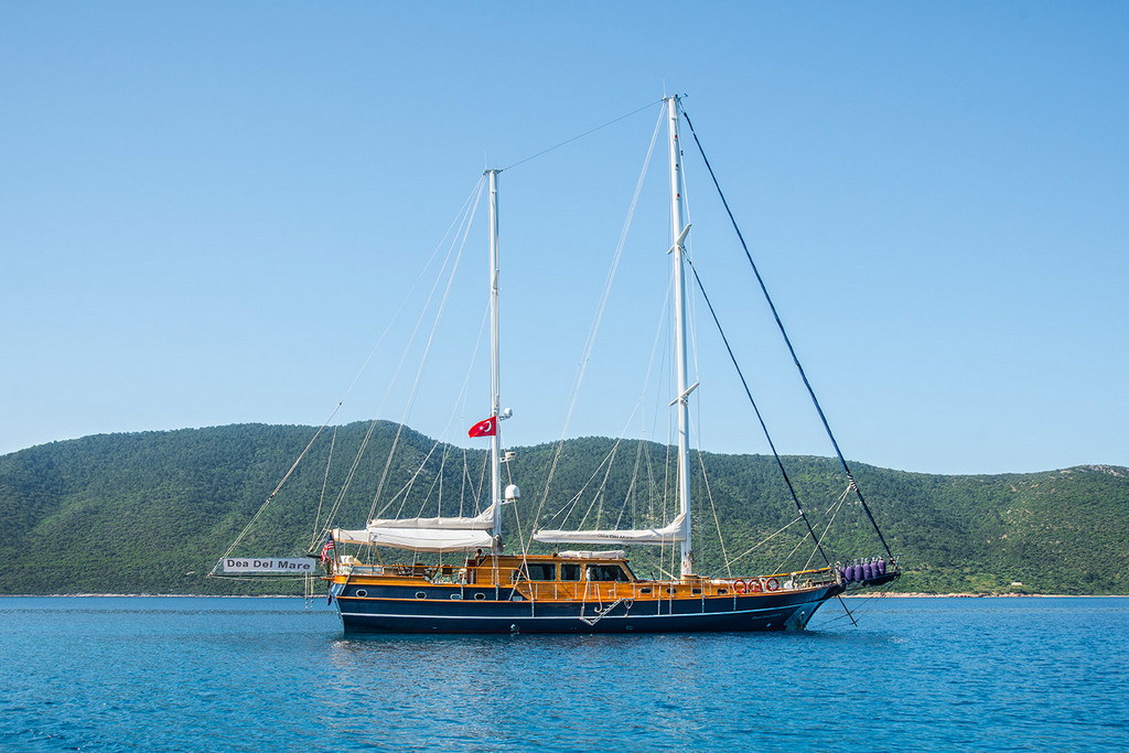 OCN439145