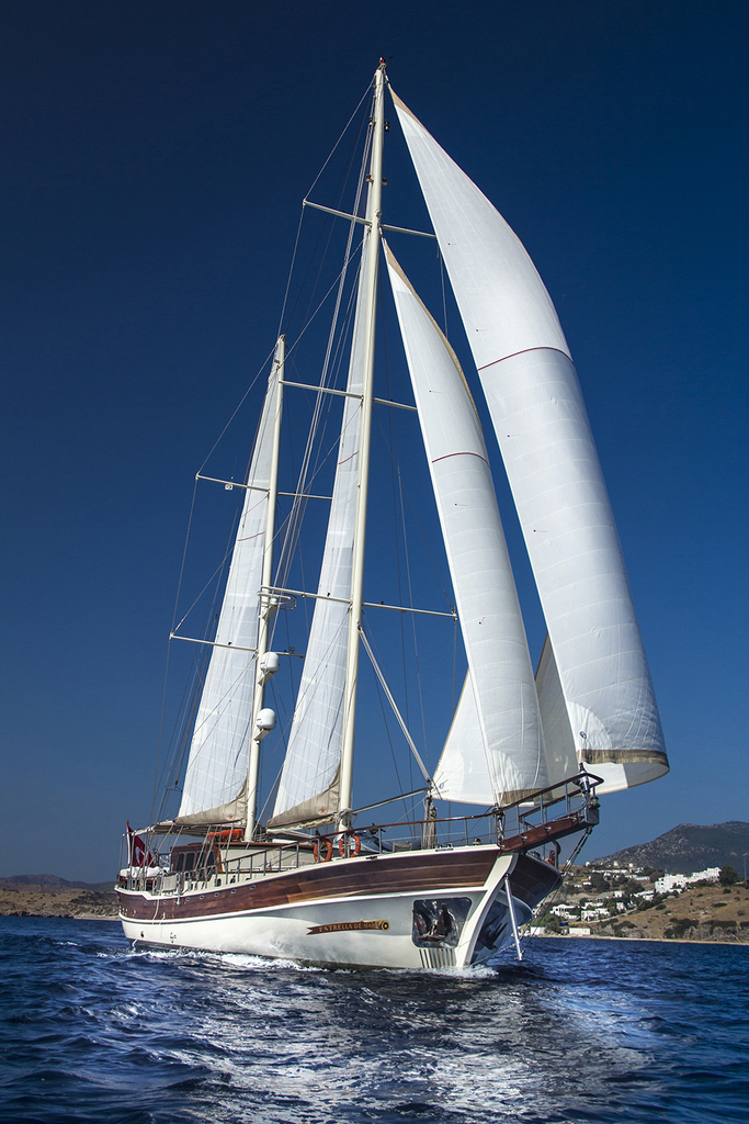 OCN731672